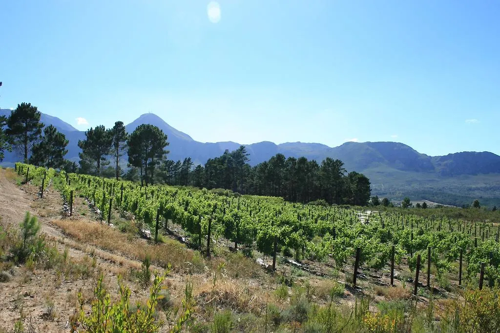 Lalapanzi Lodge Somerset West