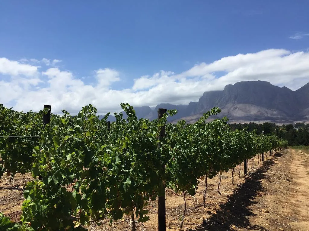 Bed and Breakfast Lalapanzi Lodge Somerset West